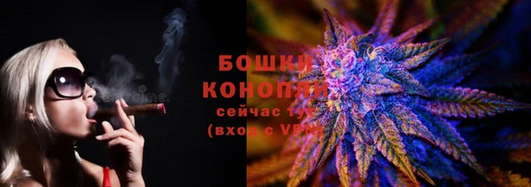 ALPHA PVP Остров