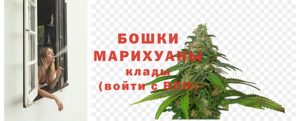 дживик Переславль-Залесский