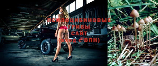 дживик Переславль-Залесский