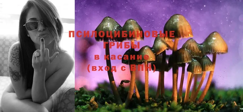 Псилоцибиновые грибы Psilocybe  маркетплейс клад  Нелидово 