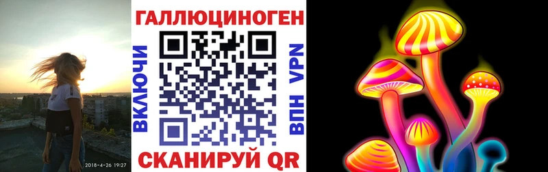 дарк нет официальный сайт  Нелидово  Псилоцибиновые грибы ЛСД 